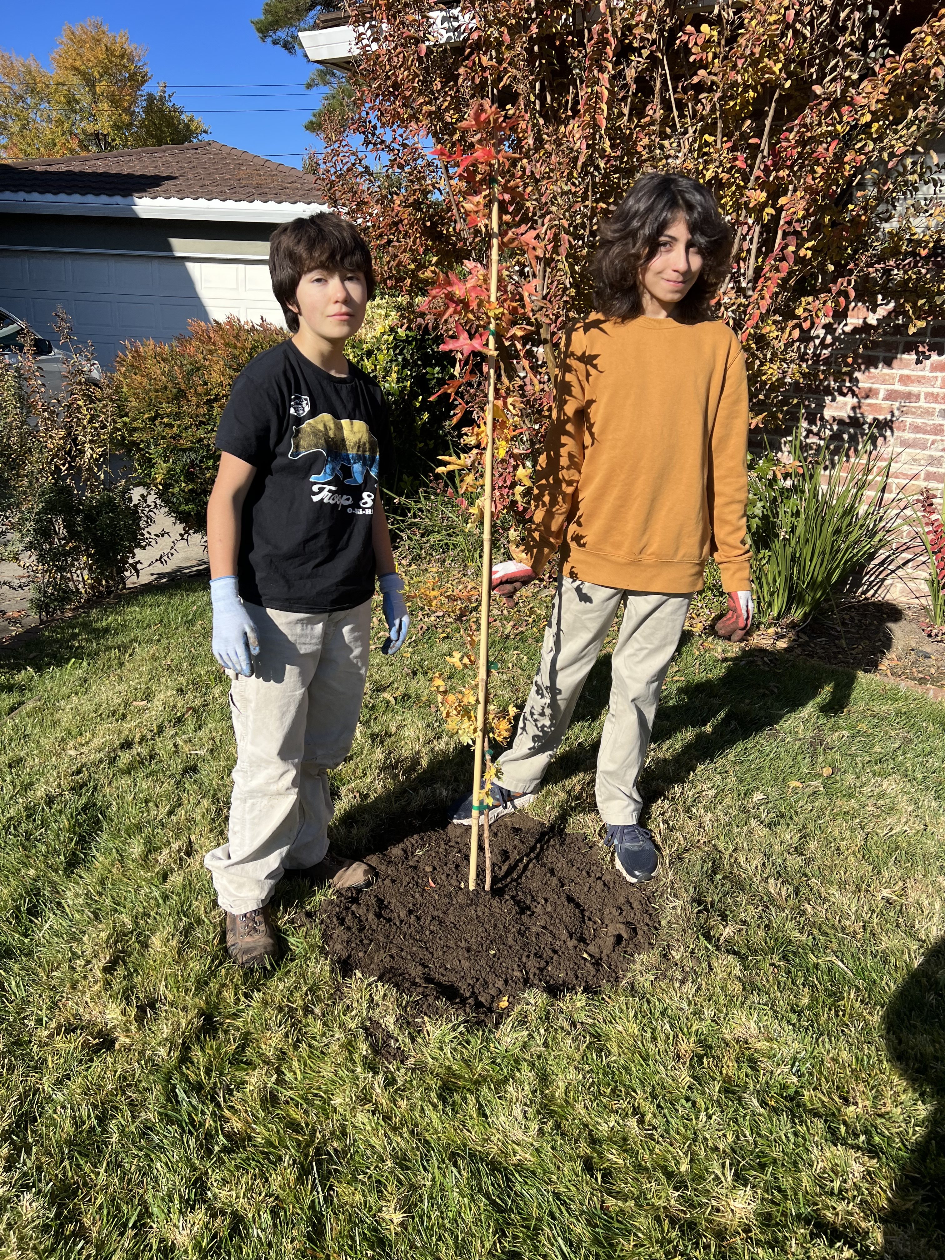 River Park Tree Canopy Project – River Park Neighborhood Association